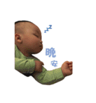 Brownie baby's Life（個別スタンプ：25）