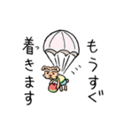 コタ郎スタンプ（個別スタンプ：8）