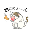 またぎねこ（個別スタンプ：5）