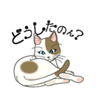 またぎねこ（個別スタンプ：7）