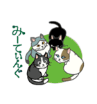 またぎねこ（個別スタンプ：9）
