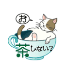 またぎねこ（個別スタンプ：10）