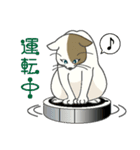 またぎねこ（個別スタンプ：13）