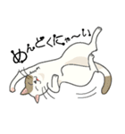 またぎねこ（個別スタンプ：17）