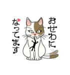 またぎねこ（個別スタンプ：20）