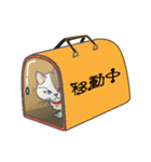 またぎねこ（個別スタンプ：23）
