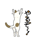 またぎねこ（個別スタンプ：27）