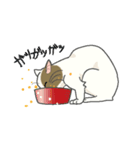 またぎねこ（個別スタンプ：28）