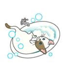 またぎねこ（個別スタンプ：29）
