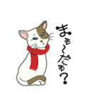 またぎねこ（個別スタンプ：30）
