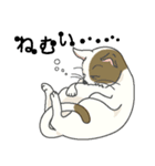 またぎねこ（個別スタンプ：34）