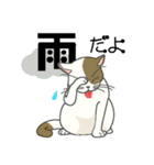 またぎねこ（個別スタンプ：39）