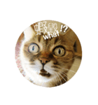 Siba＆rt（個別スタンプ：2）