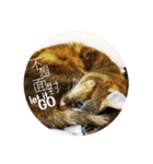 Siba＆rt（個別スタンプ：5）