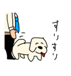 ぷー太郎の毎日（個別スタンプ：14）