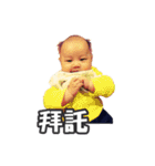 Kai Kai's daily（個別スタンプ：7）