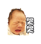 Kai Kai's daily（個別スタンプ：9）
