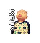 Kai Kai's daily（個別スタンプ：19）