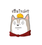 Bintum ＆ Tidpeeg（個別スタンプ：22）