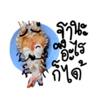 Cute Grilled Big Shrimp（個別スタンプ：2）