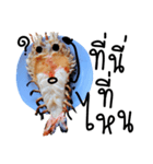 Cute Grilled Big Shrimp（個別スタンプ：5）