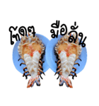 Cute Grilled Big Shrimp（個別スタンプ：14）