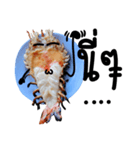 Cute Grilled Big Shrimp（個別スタンプ：17）