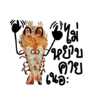 Cute Grilled Big Shrimp（個別スタンプ：31）