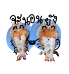 Cute Grilled Big Shrimp（個別スタンプ：38）