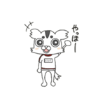 チワワ組くらげさん（個別スタンプ：1）