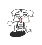 チワワ組くらげさん（個別スタンプ：25）