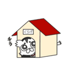 チワワ組くらげさん（個別スタンプ：38）