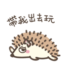 SHIBAdog and Hedgehog（個別スタンプ：9）