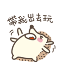 SHIBAdog and Hedgehog（個別スタンプ：10）