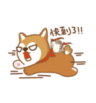 SHIBAdog and Hedgehog（個別スタンプ：17）