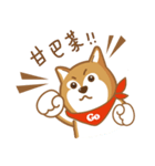 SHIBAdog and Hedgehog（個別スタンプ：22）