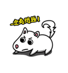 Houdini（個別スタンプ：9）