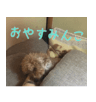 RiruChan（個別スタンプ：1）