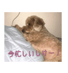 RiruChan（個別スタンプ：5）