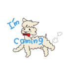 Lovely and cute ALPACA（個別スタンプ：10）