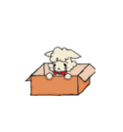 Lovely and cute ALPACA（個別スタンプ：21）