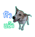Dug-Dig ＆ Friends！（個別スタンプ：4）