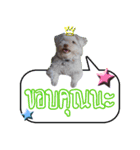 Dug-Dig ＆ Friends！（個別スタンプ：16）