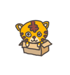 Tora-Cat（個別スタンプ：11）