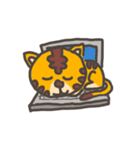 Tora-Cat（個別スタンプ：36）