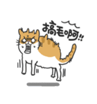 Meow Meow i'm a cat（個別スタンプ：8）