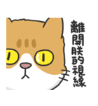 Meow Meow i'm a cat（個別スタンプ：13）