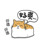 Meow Meow i'm a cat（個別スタンプ：17）