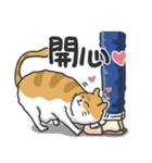 Meow Meow i'm a cat（個別スタンプ：18）