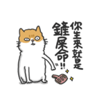 Meow Meow i'm a cat（個別スタンプ：21）